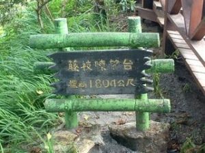 藤枝國家森林遊樂區