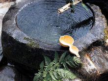 玉屏侗族自治縣