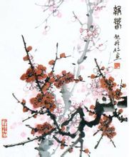 庫爾蒂斯 庫爾蒂斯