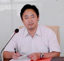 高偉[國家土地督察武漢局專員]