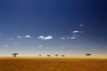 塞倫蓋蒂動物園