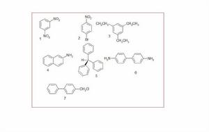 鄰對位定位基 鄰對位定位基