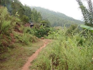 把竜自然村 把竜自然村