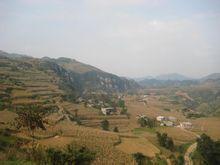 楊家寨村[雲南昭通鎮雄縣花山鄉下轄村]