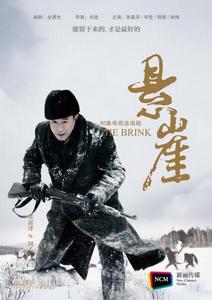 頭號勁敵[2012年張嘉譯、小宋佳主演電視劇]