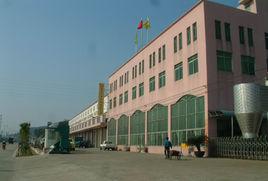 沙灣西村 沙灣西村