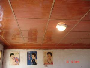 蒼巴席自然村基礎設施-通電情況