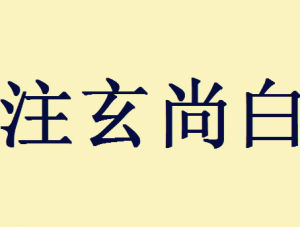 注玄尚白 注玄尚白