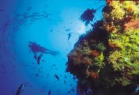 深海潛水 深海潛水