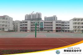 柳城縣實驗中學