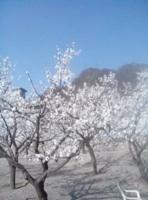 仙人谷[北京旅遊景點]