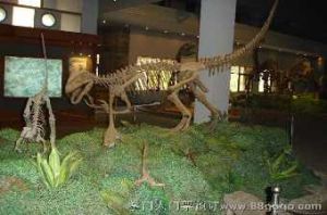 四川自貢恐龍博物館