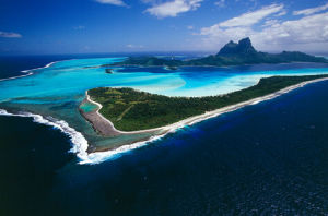 社會群島 社會群島