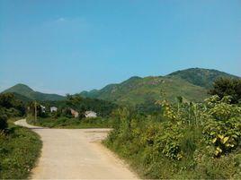 烈馬回頭垸 烈馬回頭垸