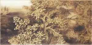 黃葉飄零化作塵 黃葉飄零化作塵