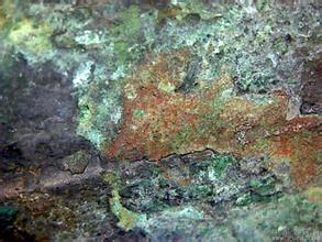 子陵崗東周文化遺址 子陵崗東周文化遺址