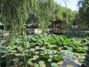 普蘭店市南山公園 普蘭店市南山公園