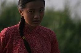 蛟斗衡水湖 蛟斗衡水湖