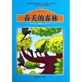 春天的森林 春天的森林