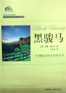 不同版本的黑駿馬