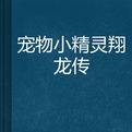 寵物小精靈翔龍傳 寵物小精靈翔龍傳