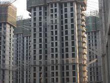 叢台花園實景圖