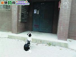 忘不了救命恩人 忘不了救命恩人