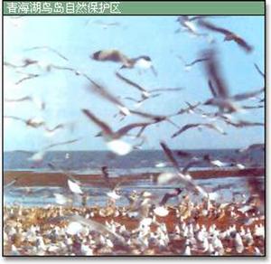 鳥島自然保護區