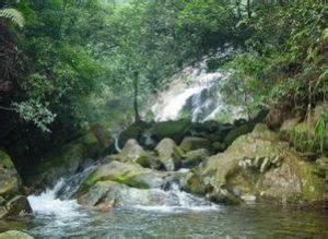 平壇海島國家森林公園 平壇海島國家森林公園