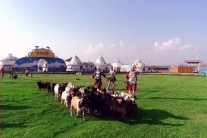 龍里大草原 龍里大草原