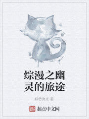 綜漫之幽靈的旅途 綜漫之幽靈的旅途