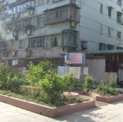 南山路71弄 南山路71弄