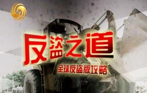 職業反盜版團隊