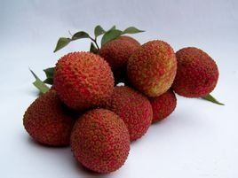 三月紅荔枝 三月紅荔枝