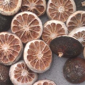 清肺固金丸 清肺固金丸