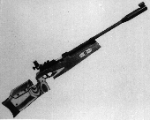 奧地利施泰爾4.5mm比賽氣步槍