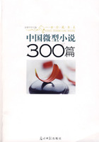 中國微型小說300篇 中國微型小說300篇