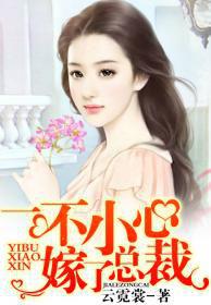 一不小心嫁了總裁[香網小說]