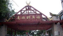 南順鱷魚園 南順鱷魚園