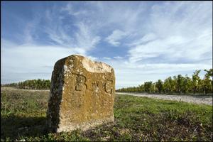 布朗康田莊園葡萄園