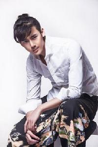 李鶴[中國內地流行樂男歌手、影視演員]