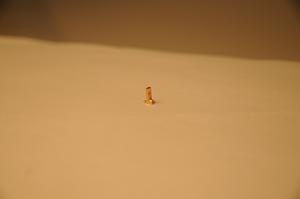 愛情鳥珠寶18K金T吊墜