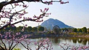 陽山生態桃源 陽山生態桃源