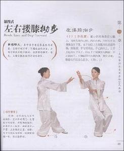 中華太極拳:國家標準競賽套路24式 中華太極拳:國家標準競賽套路24式