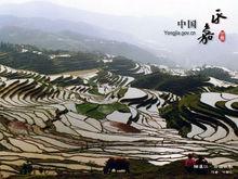 茗岙梯田