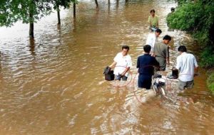 2011韓國特大洪災 2011韓國特大洪災