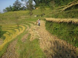 大班弄村 大班弄村