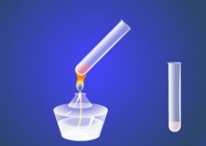 水解反應 水解反應