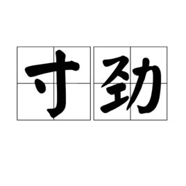 寸勁 寸勁