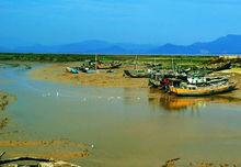 閩江河口國家濕地公園